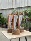 TCT Nutraceuticals