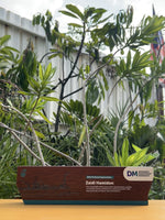 Petronas